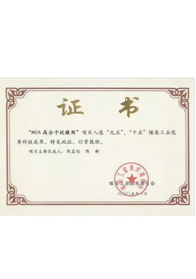 2005年1月MCA高分子促凝劑獲“九五、十五”科技成果獎(jiǎng)